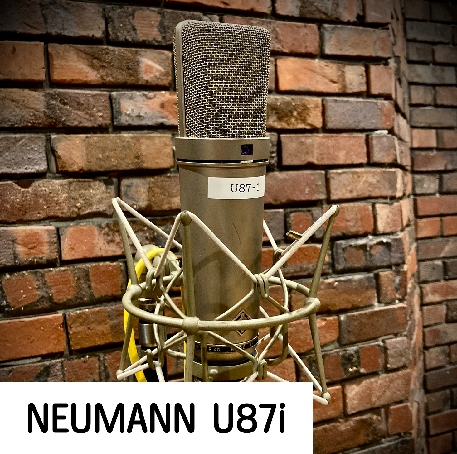 U87画像